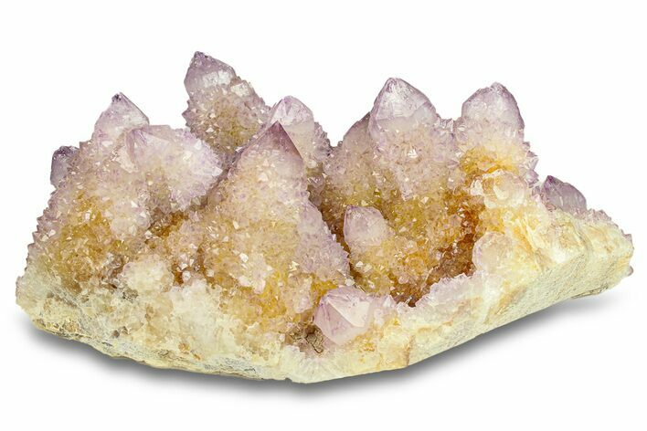 Spectacular Cactus Amethyst Crystal Cluster - South Africa #301878